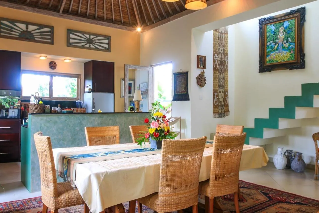 Vss/Ubud Ricefield /Ac/3Bd/3Bth/Pool/B&B/Hi Spd Villa Ubud (Bali)