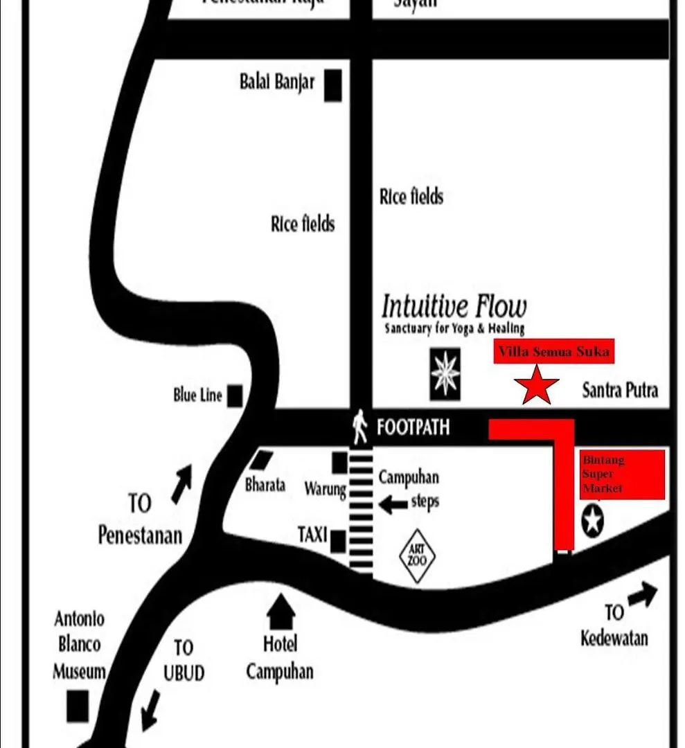 Vss/Ubud Ricefield /Ac/3Bd/3Bth/Pool/B&B/Hi Spd Villa Ubud (Bali)